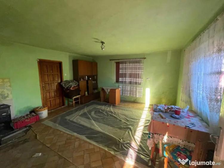 Investitie pentru liniste si oaza de verdeata - 4