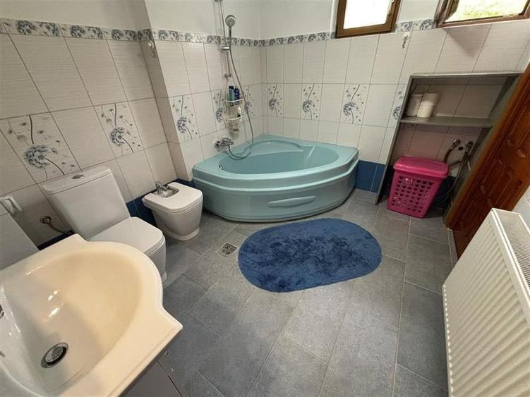 VILA DEOSEBITA IN SLATINA - LUNCANI - OAZA DE LINISTE LA MARGINEA PADURII - 21