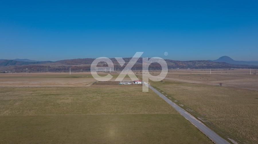 Teren 11.600 mp – Rasnov, zona Tabara, 230 m de DN 73 - 8