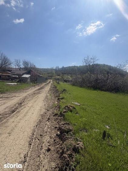 Parcele teren intravilan Sasenii Vechi Vernesti - 5