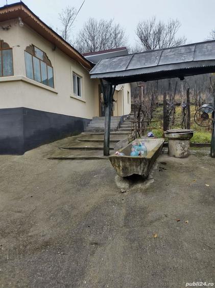 Casa cu podgorie, Fratostita - 7