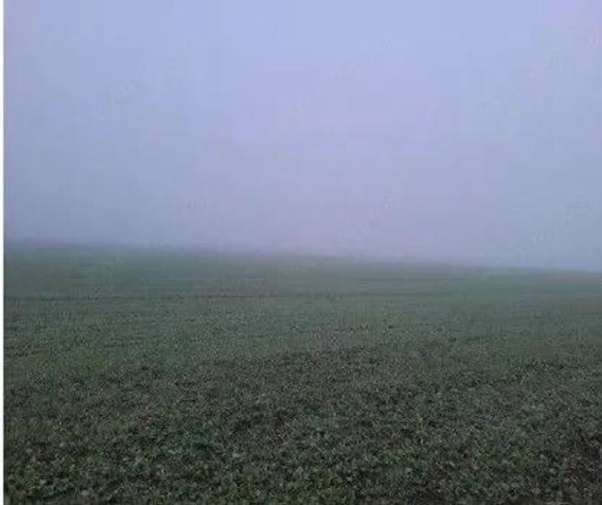 Teren extravilan arabil Troianul, ID: R2884553 - 3