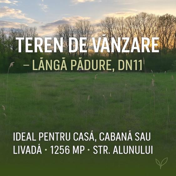 Teren ideal pentru casa de vacanta sau locuinta permanenta, la marginea padurii - 9