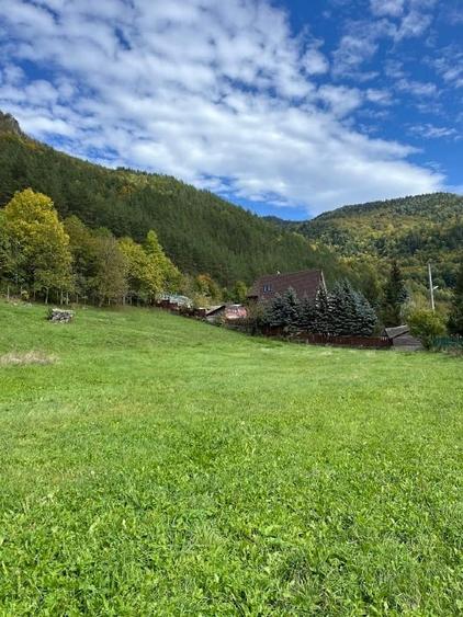 Teren de vânzare în Lepșa – ideal pentru pensiune sau casă de vacanță - 2