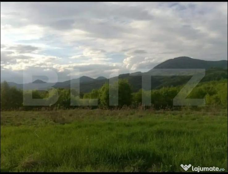 Teren extravilan 77.700 mp ideal investi?ie sau dezvoltare - 1
