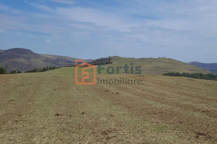 Teren zona de interes turistic 12 000 mp - 5