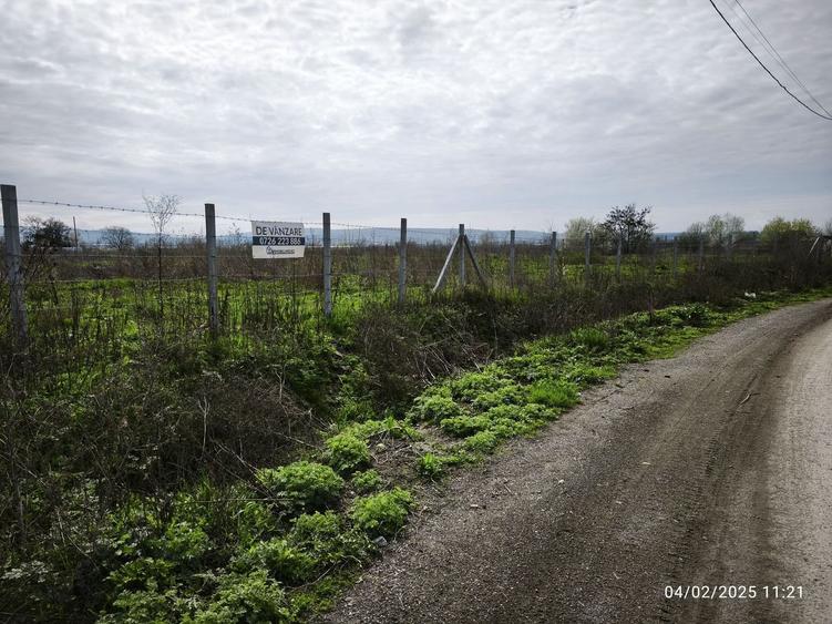 Teren drept  19059 mp - toate utilitățile - asfalt - Sancrai - 8