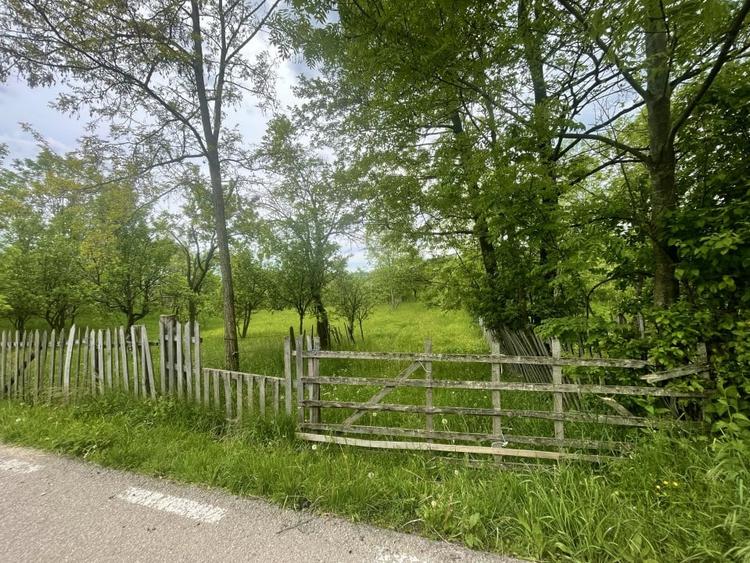 Teren intravilan Sotrile 6762 mp - Investitie, camping, agroturism - 4