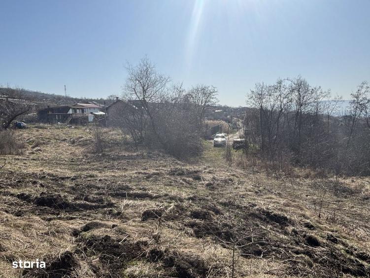 Teren Pomet/3 km Auchan - 6