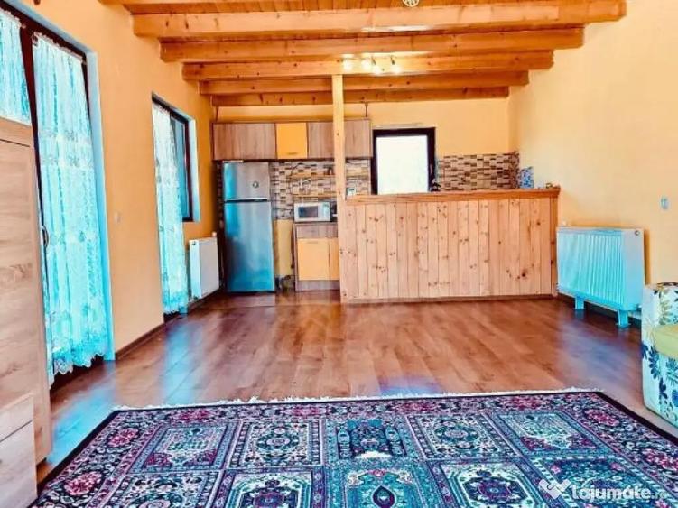 CASA DE VACANTA//ZONA BREAZA//OCINA DE JOS - 8