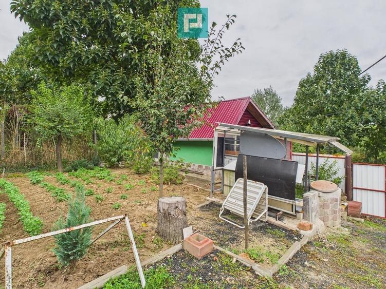 Căsuță de vacanță pentru pescari în Lipova - 3