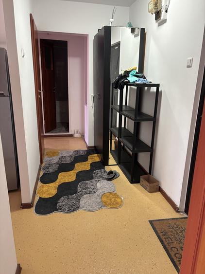 Titan chiar la metrou Nicolae Grigorescu - 7