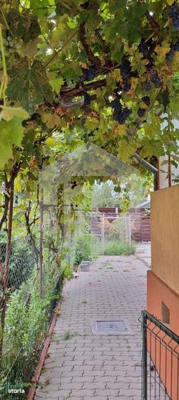 Casa de inchiriat | 2 Camere | Lazaret | 80mpu | Individuala |Pivnita - 4