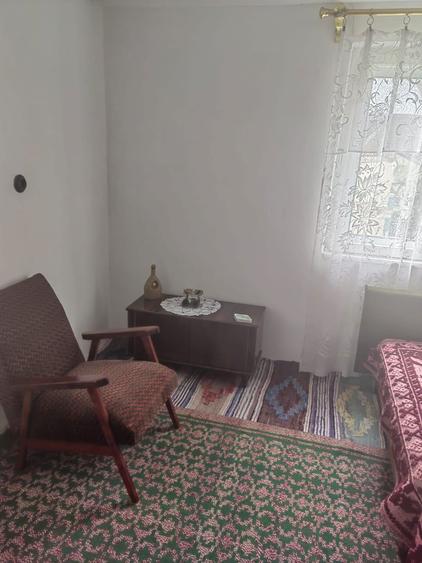 Vanzare casa pitoreasca, teren 2500mp - 1