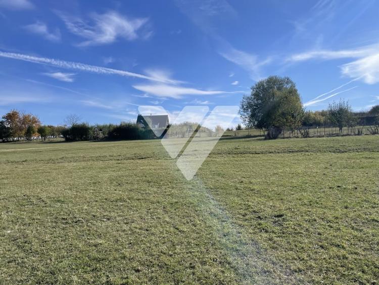 Teren extravilan 1342 mp zona linistita – Rasinari - Sibiu - 7