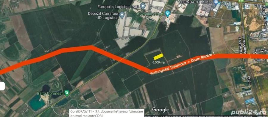 Teren de 6000 mp, în Domnești