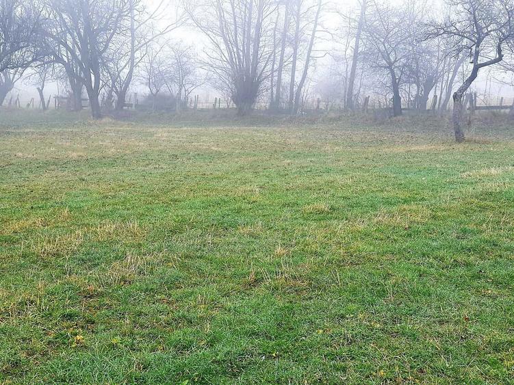 Teren de VANZARE / SCHIMB ! Bran- Sohodol Mestecanisului - 4