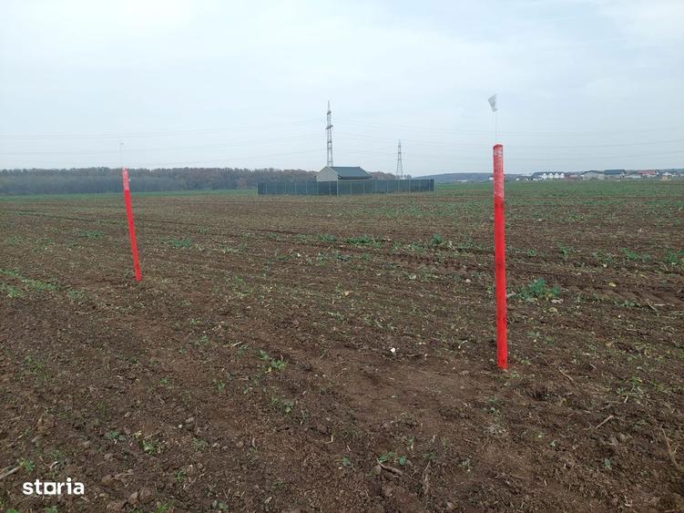 Teren In Balotesti ,str Orhideelor Zona in plina dezvoltare. - 1