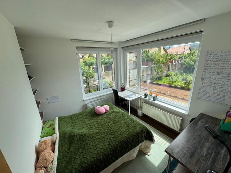 Casa cu pozitionare buna in Cristian - 19