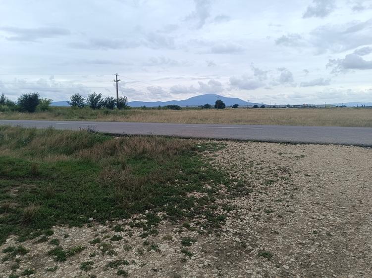 Brașov Bartolomeu,str Cucului , Intravilan 16.500 mp, dezvoltare rezidentiala - 7