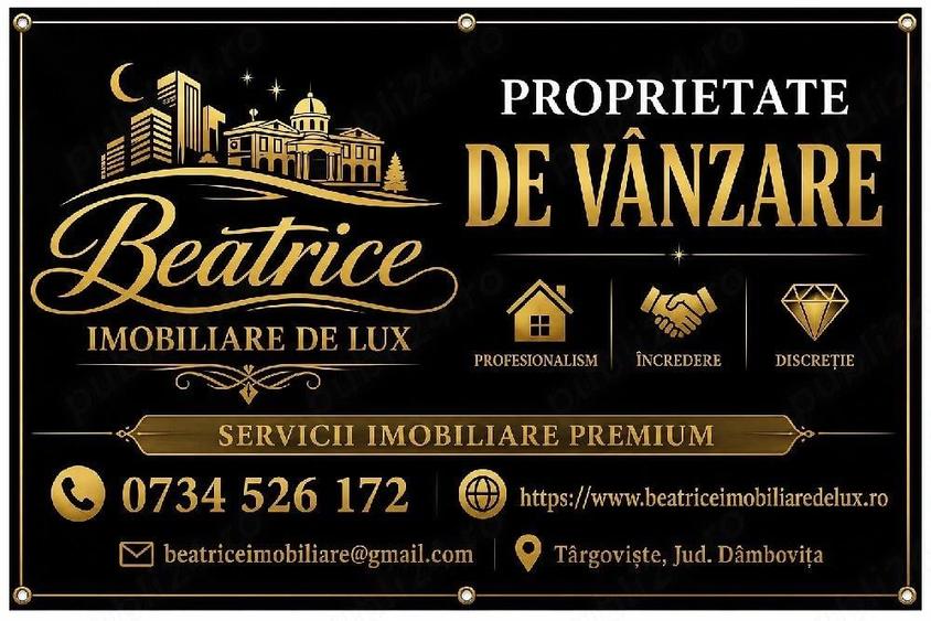 Agentia Beatrice Imobiliare de Lux - 2