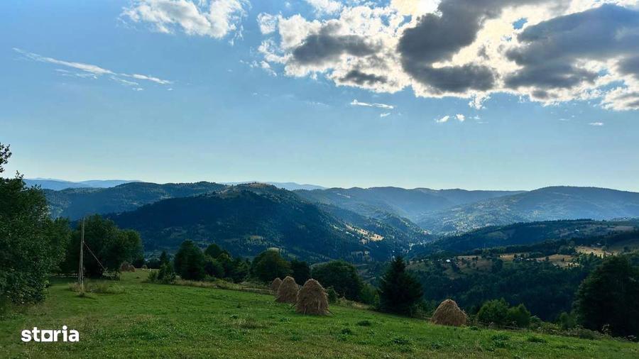 Teren Comuna Horea 17278m2. Apuseni - 4