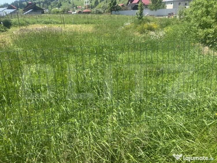 Teren intravilan in Vatra Dornei, 1000 mp - 3