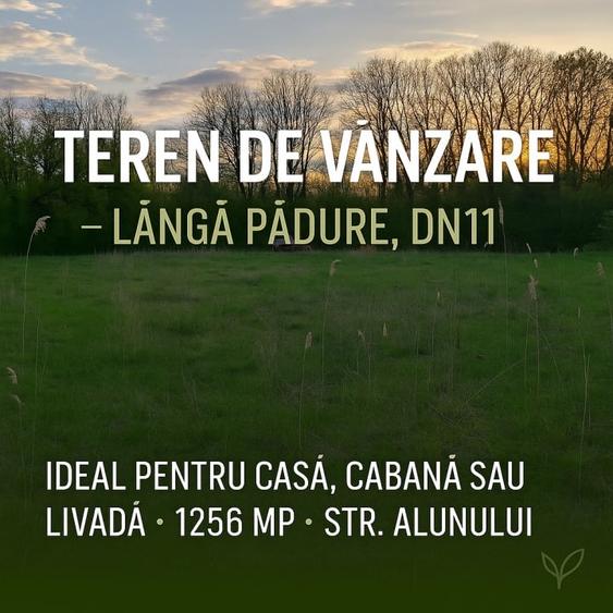 Teren ideal pentru casa de vacanta sau locuinta permanenta, la marginea padurii - 2