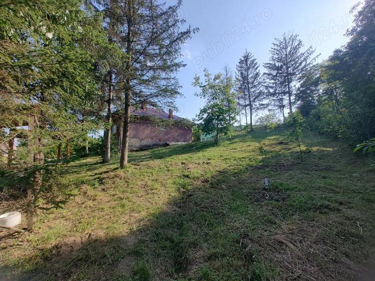 Casa batraneasca cu teren in sat Schitu Scoicesti, com Leordeni, Arge? - 8