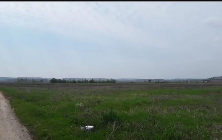 Teren intravilan, 12500 mp, Beharca - 1