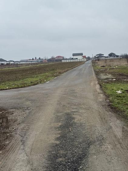 Teren Dragomiresti Vale, 500 sau 1084 mp util - 2