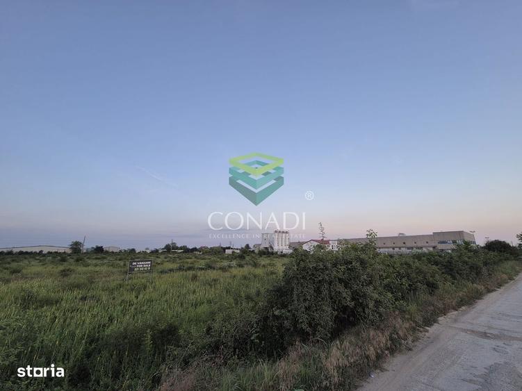 Teren industrial de vanzare in Clinceni 23.943 mp | Langa Centura - 5