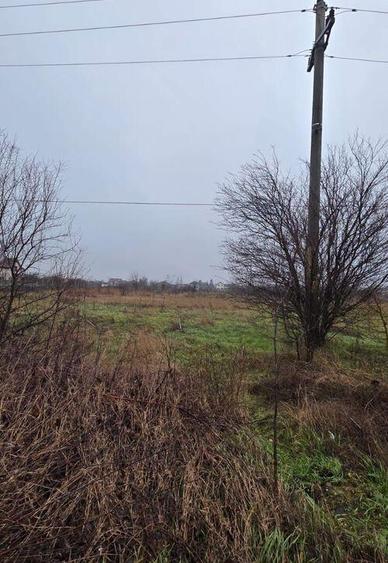 Teren 5000 mp 1 decembrie - strada Oituz - 4