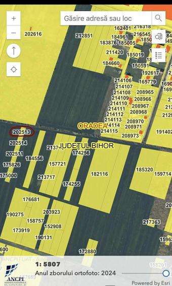 Vand teren intravilan in Cartierul Grigorescu Oradea - 1