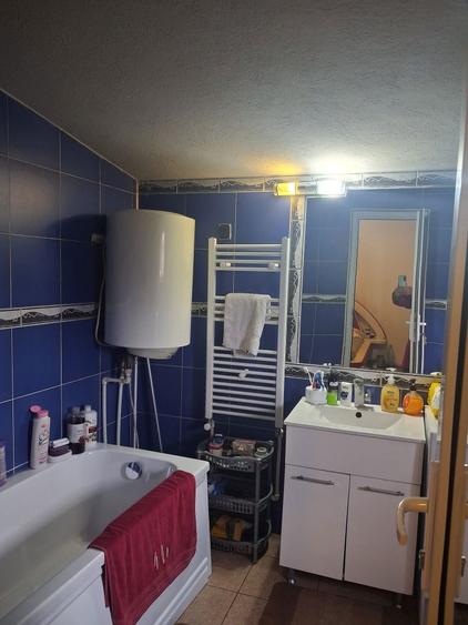 Casa de vanzare Bradu Arges - 7