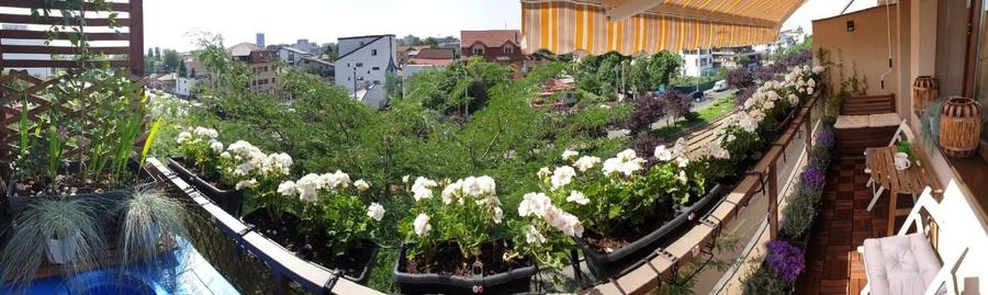 Apartament 2 camere 53mp, Bucurestii Noi , Sector 1 (46mp util + 2 balcoane) - 4