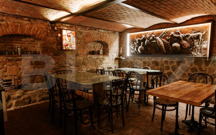 Conac de vanzare 7 camere cu bai proprii, crama, ciubar ? - 13