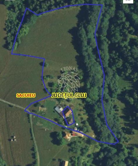 COMISION 0 20.000 MP TEREN EXTRAVILAN CU PADURE ZONA TURISTICA SACUIEU VLADEASA - 5