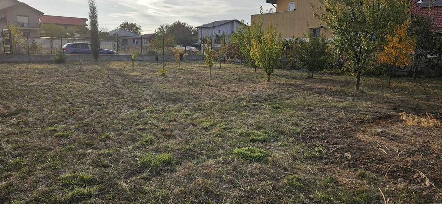 Teren intravilan, construibil, Magurele, locatie excelenta - 7