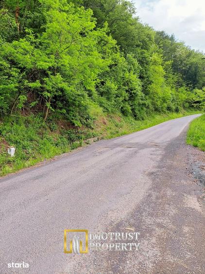 Teren de 4961 mp, în Vărădia de Mureș