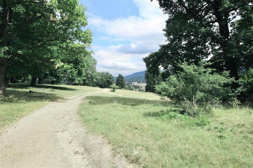 Teren Construcții intravilan de 4713 mp, în Poiana Brașov