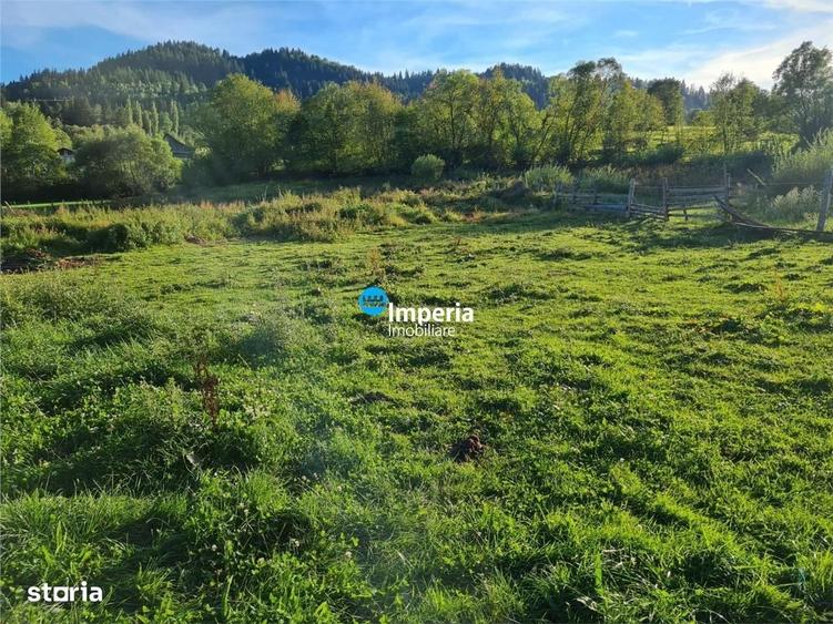 Campulung Moldovenesc, zona Cucoara | 4.544 mp teren | 2 casute locuib - 6
