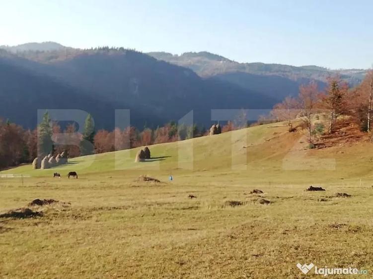 Teren de 2050 mp, în Scărișoara