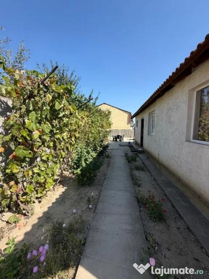 Casa parter, 70.40 mp, teren 250 mp, zona Parcul Tineretului - Craiova (Dolj) - 10