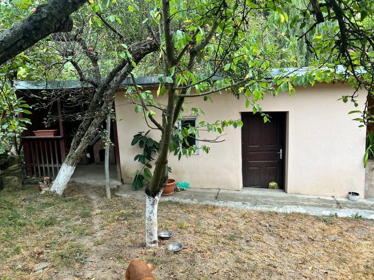 Vanzare Casa Govora | centrala termica | 366mp curte libera - 15