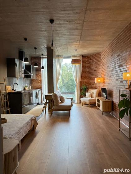 Inchiriere - Studio Loft Green Apartments, Vedere padure, direct proprietar - 6