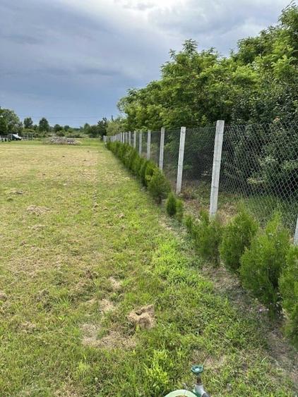 Vând 5000m pătrați teren,intravilan și extravilan. - 5