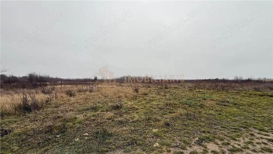 Parcele de teren industrial, Tautii Magheraus - 7