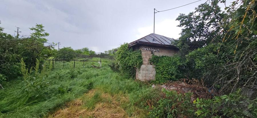 Teren Sintesti (Ilfov) - 3