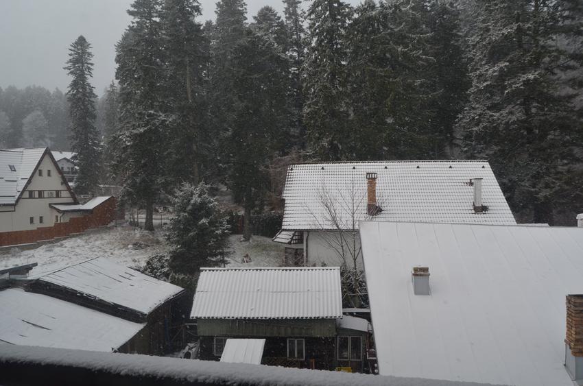 Busteni-Apartament cu trei camere - 4